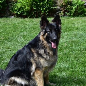 Meet your Posher, Kim